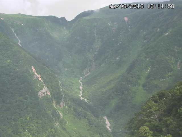 naso20160808161209.jpg