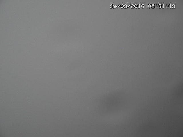 naso20160909053157.jpg