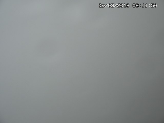 naso20160909061155.jpg