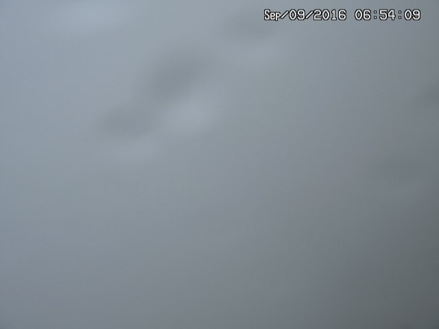 naso20160909065413.jpg