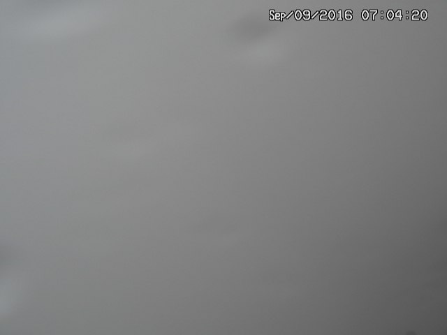 naso20160909070429.jpg