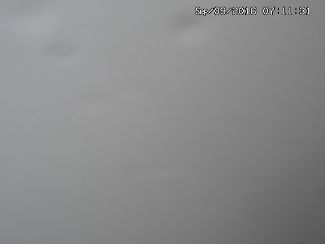 naso20160909071135.jpg