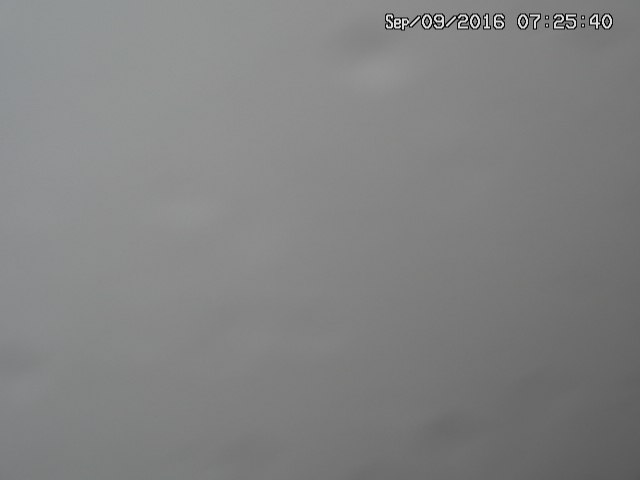 naso20160909072543.jpg