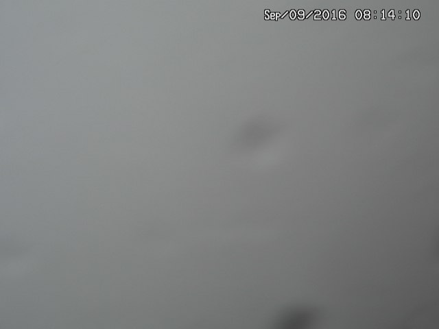 naso20160909081416.jpg