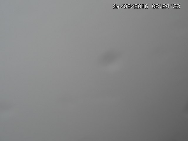 naso20160909082426.jpg