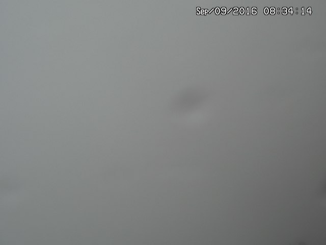 naso20160909083417.jpg