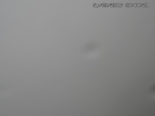 naso20160909084423.jpg