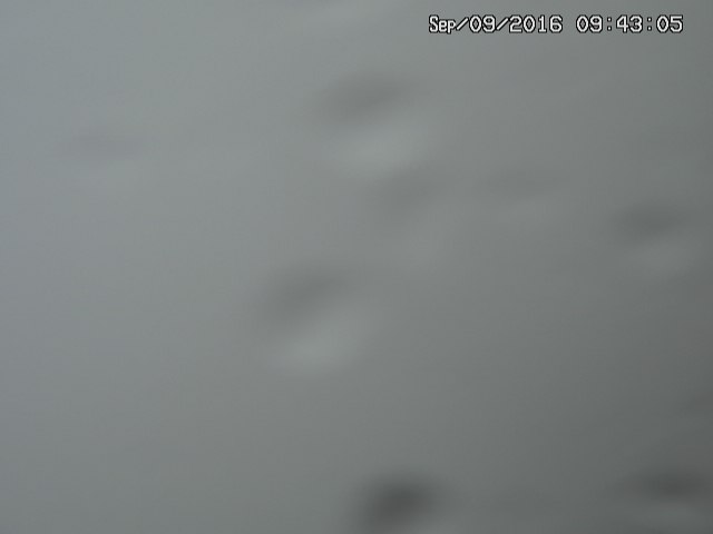 naso20160909094308.jpg