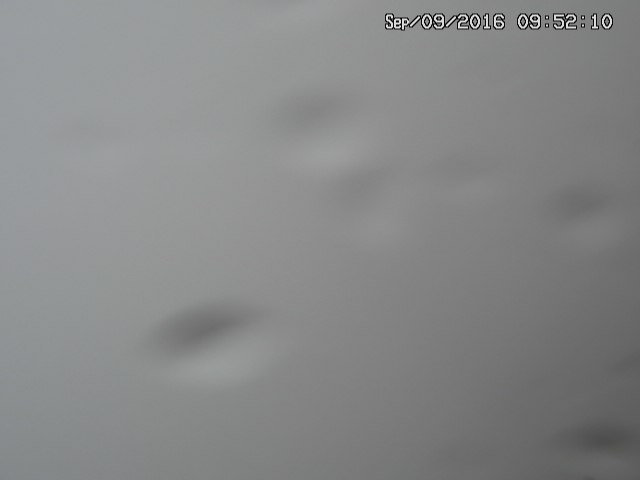 naso20160909095223.jpg