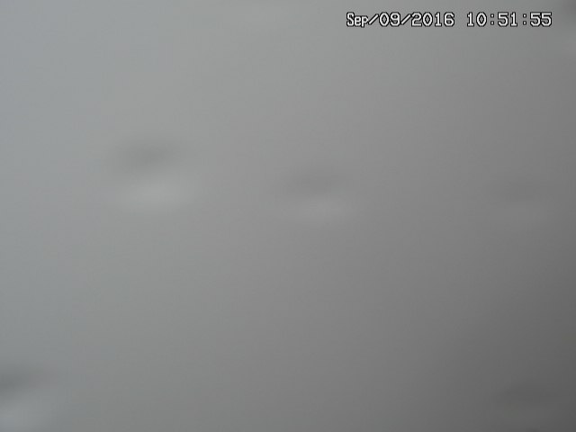naso20160909105204.jpg