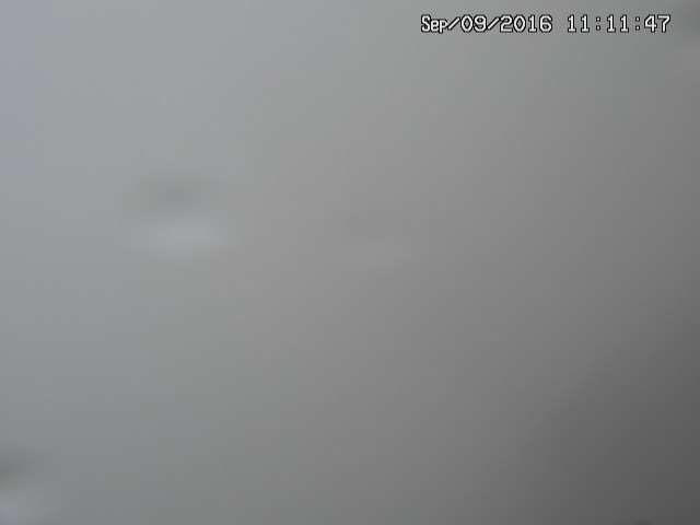naso20160909111151.jpg