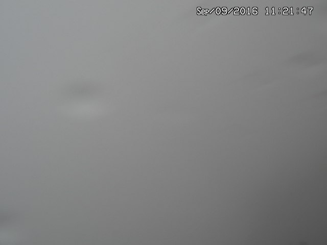 naso20160909112151.jpg