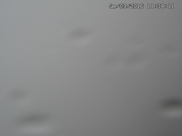 naso20160909113414.jpg