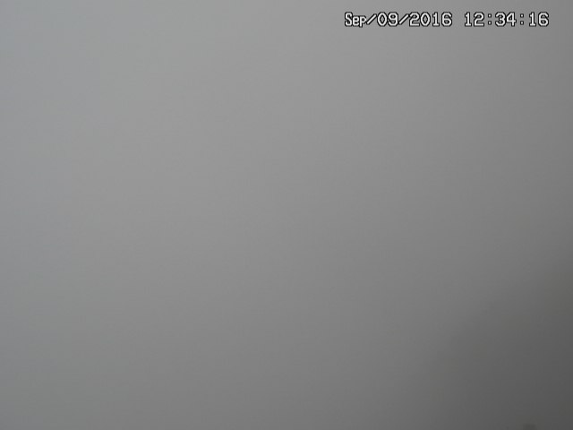 naso20160909123417.jpg
