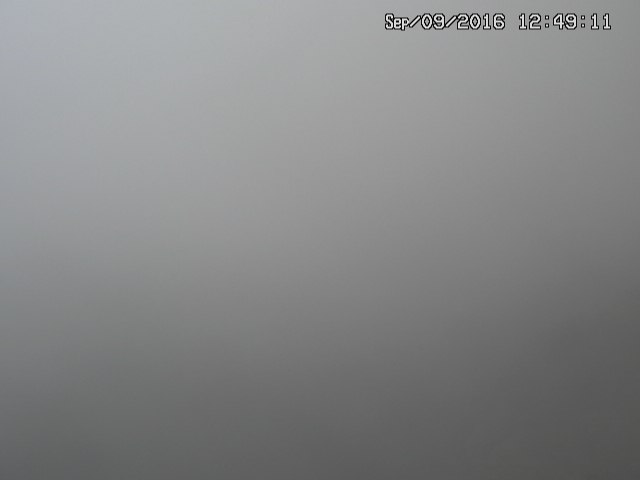 naso20160909124914.jpg