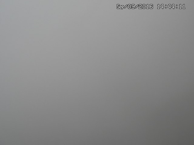 naso20160909144414.jpg