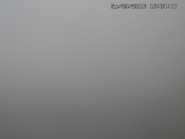 naso20160909160423.jpg