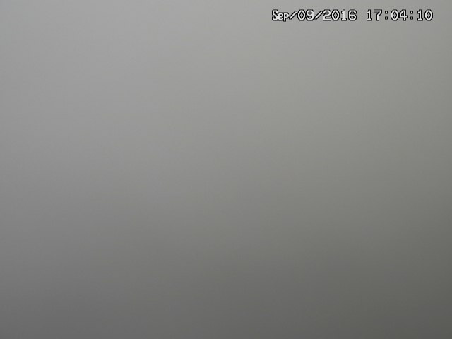naso20160909170413.jpg