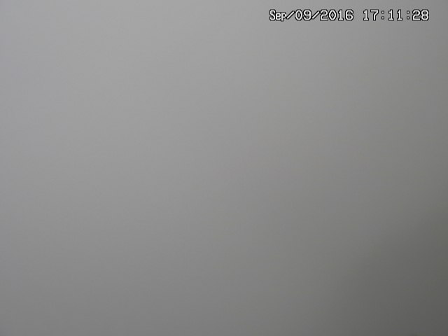 naso20160909171132.jpg