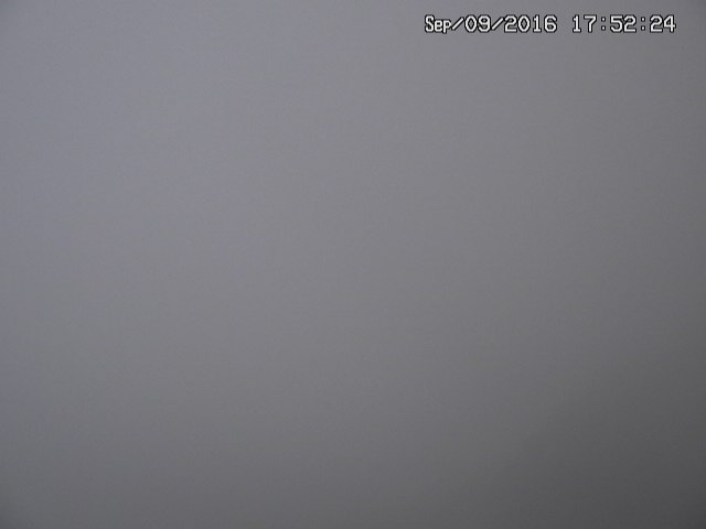 naso20160909175304.jpg