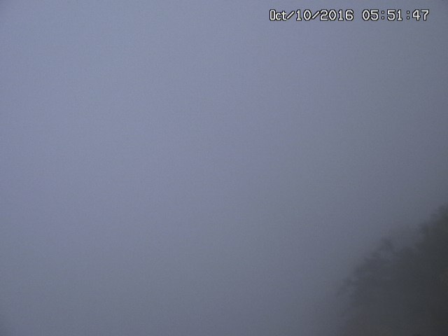 naso20161010055154.jpg
