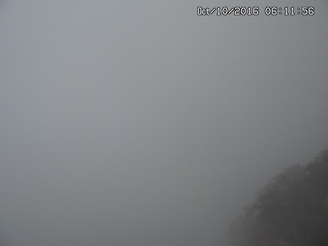 naso20161010061204.jpg