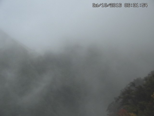 naso20161010063202.jpg