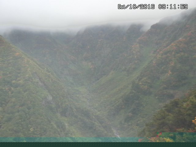 naso20161010081219.jpg