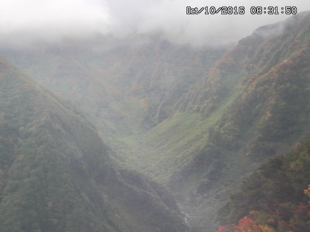 naso20161010083202.jpg