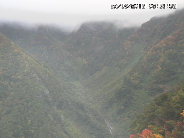 naso20161010085209.jpg