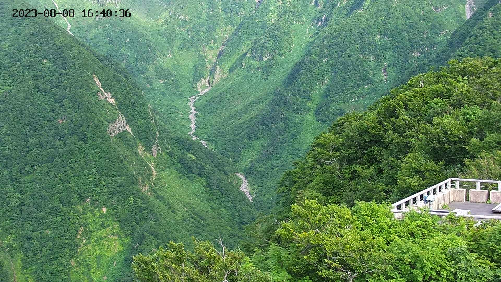 naso20230808164037.jpg