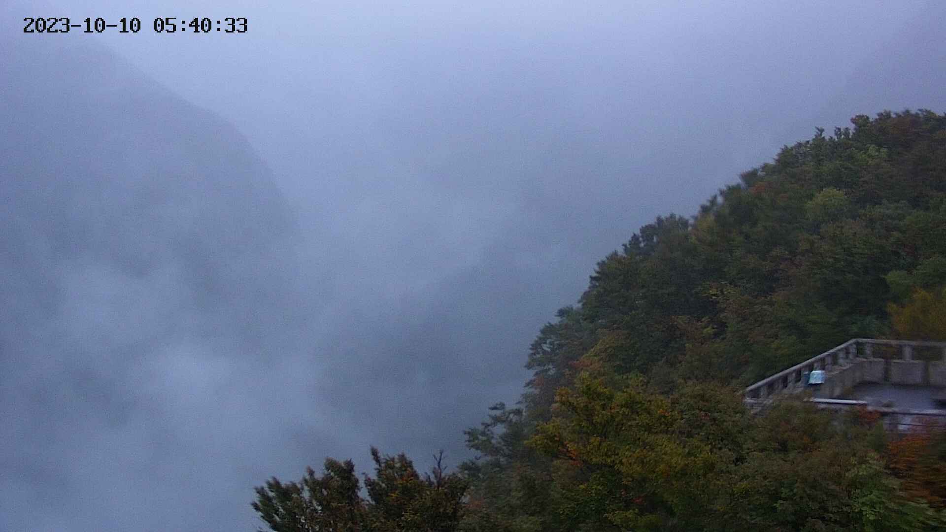 naso20231010054034.jpg