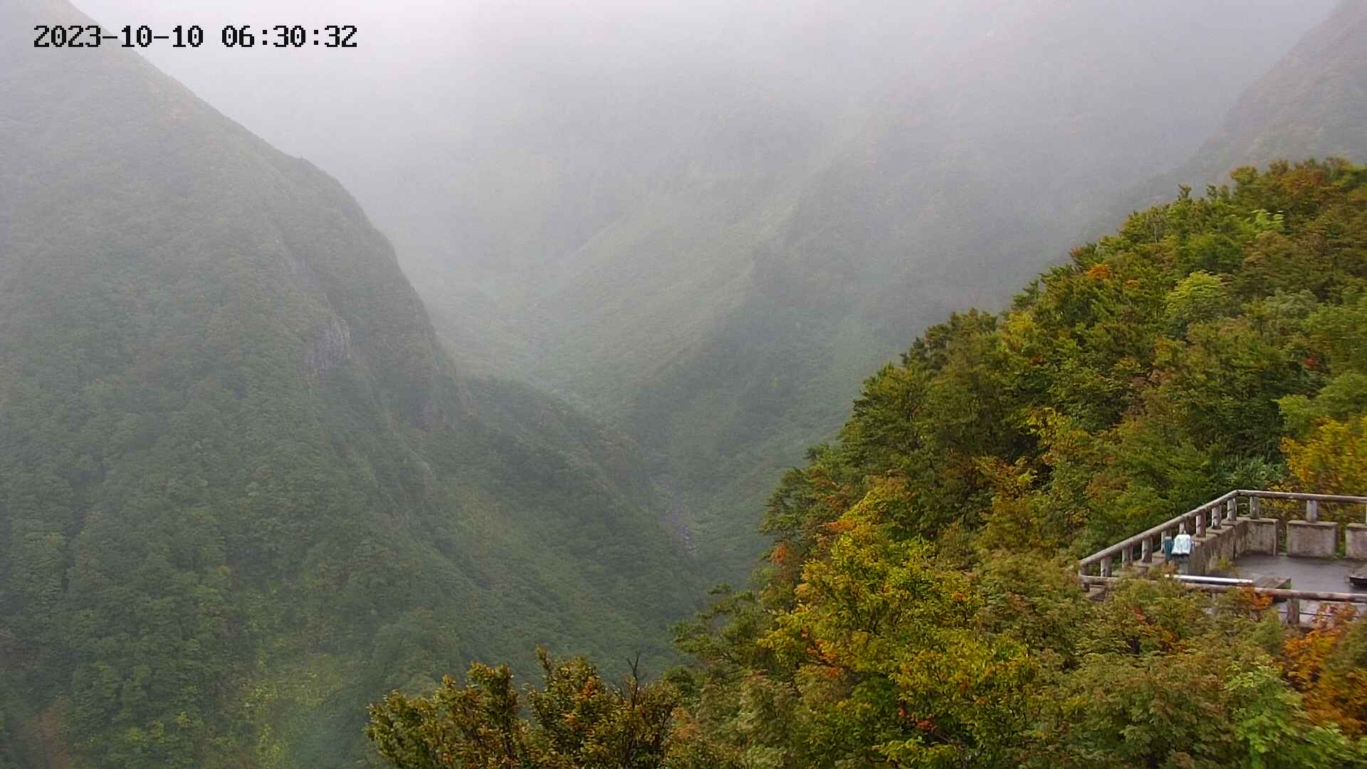 naso20231010063034.jpg