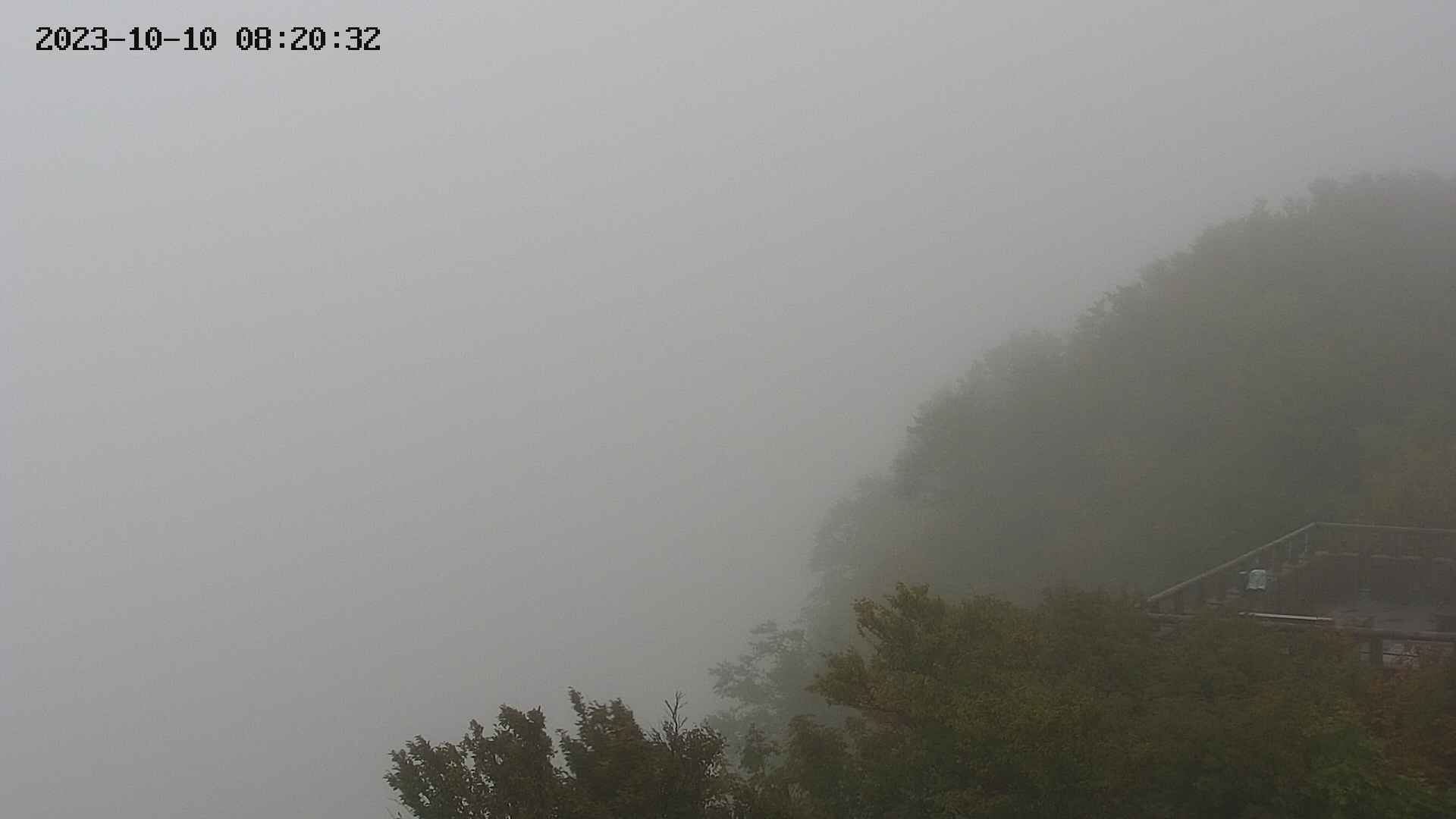 naso20231010082034.jpg