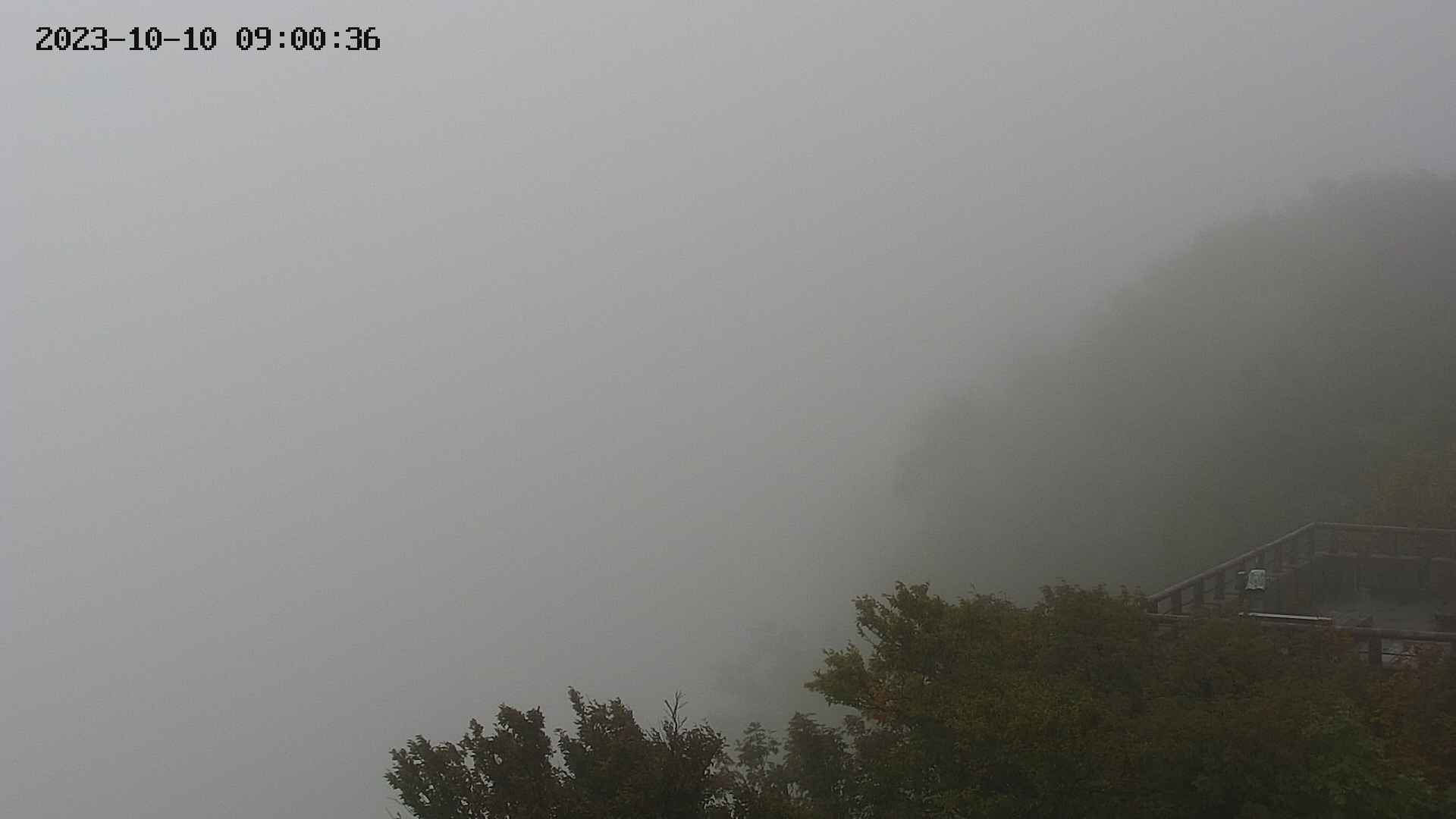 naso20231010090036.jpg