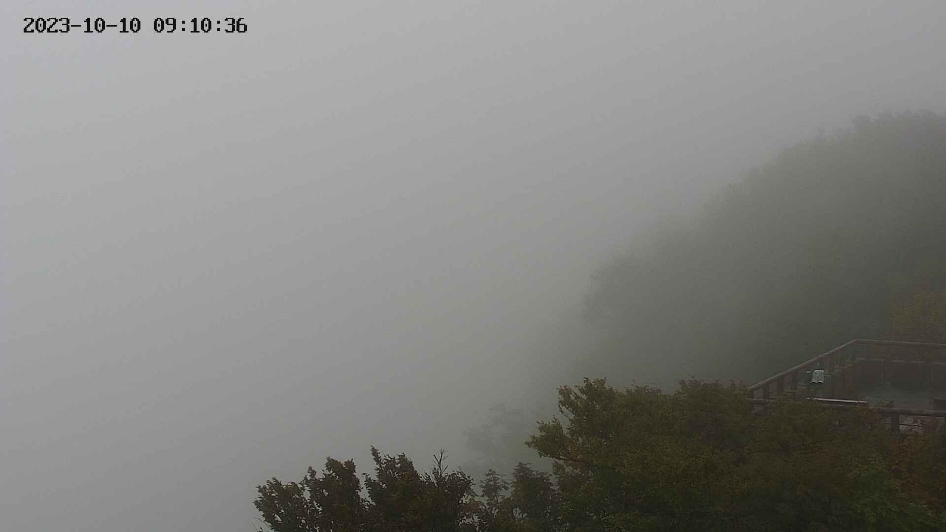 naso20231010091036.jpg