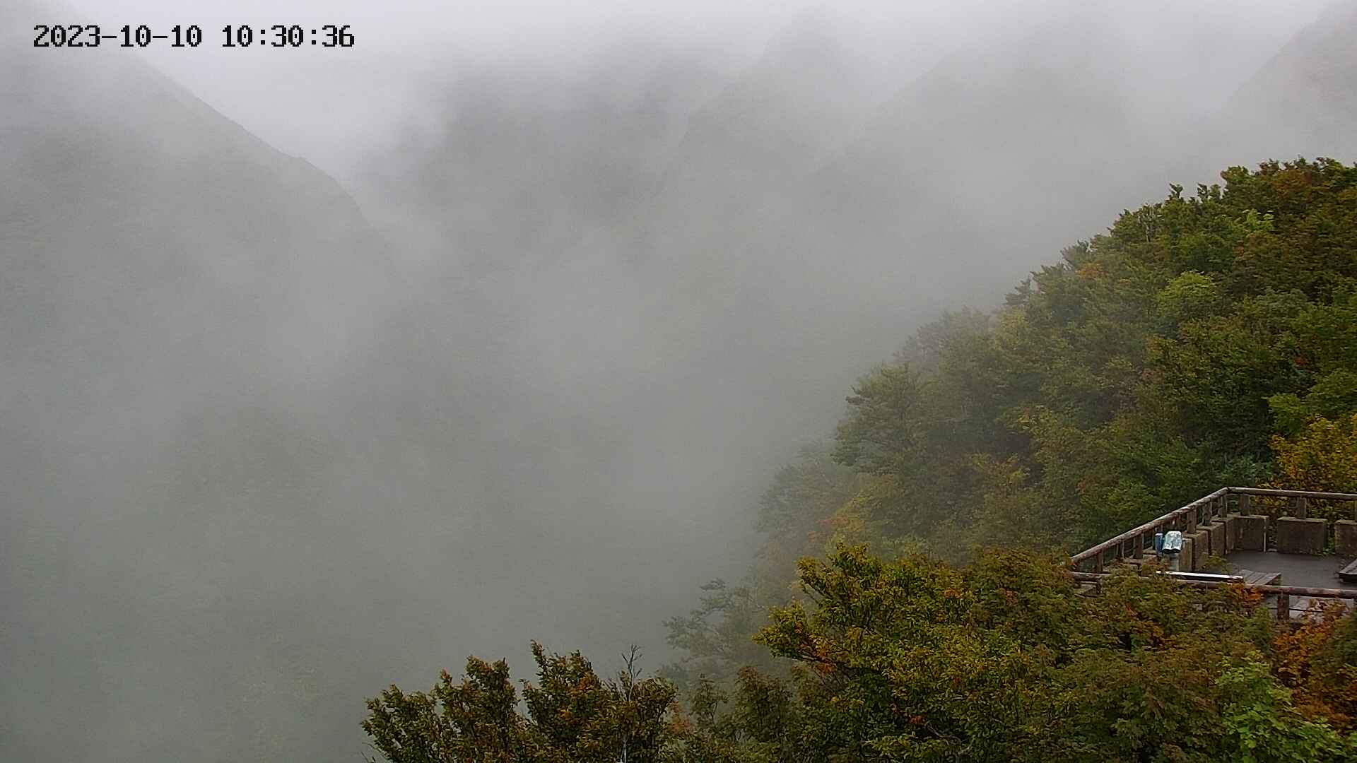 naso20231010103037.jpg