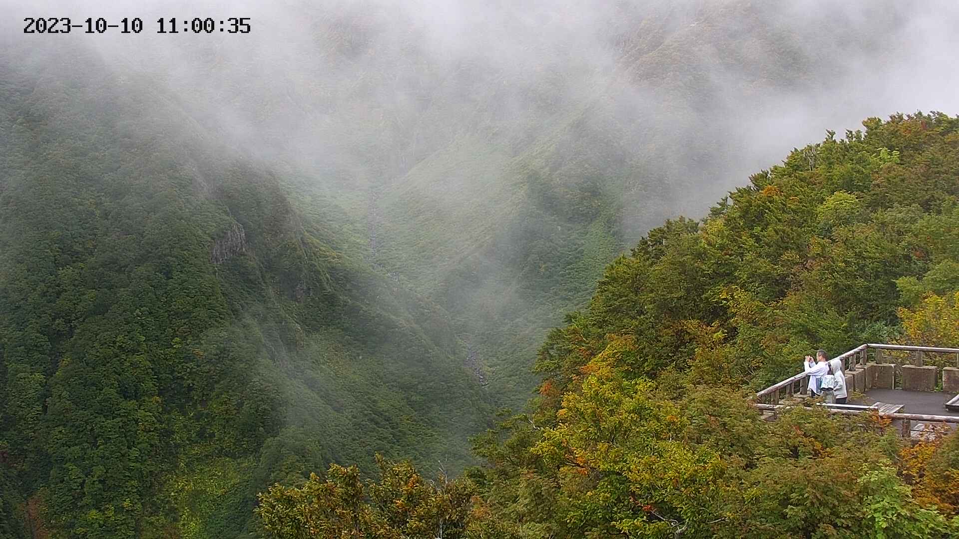 naso20231010110037.jpg