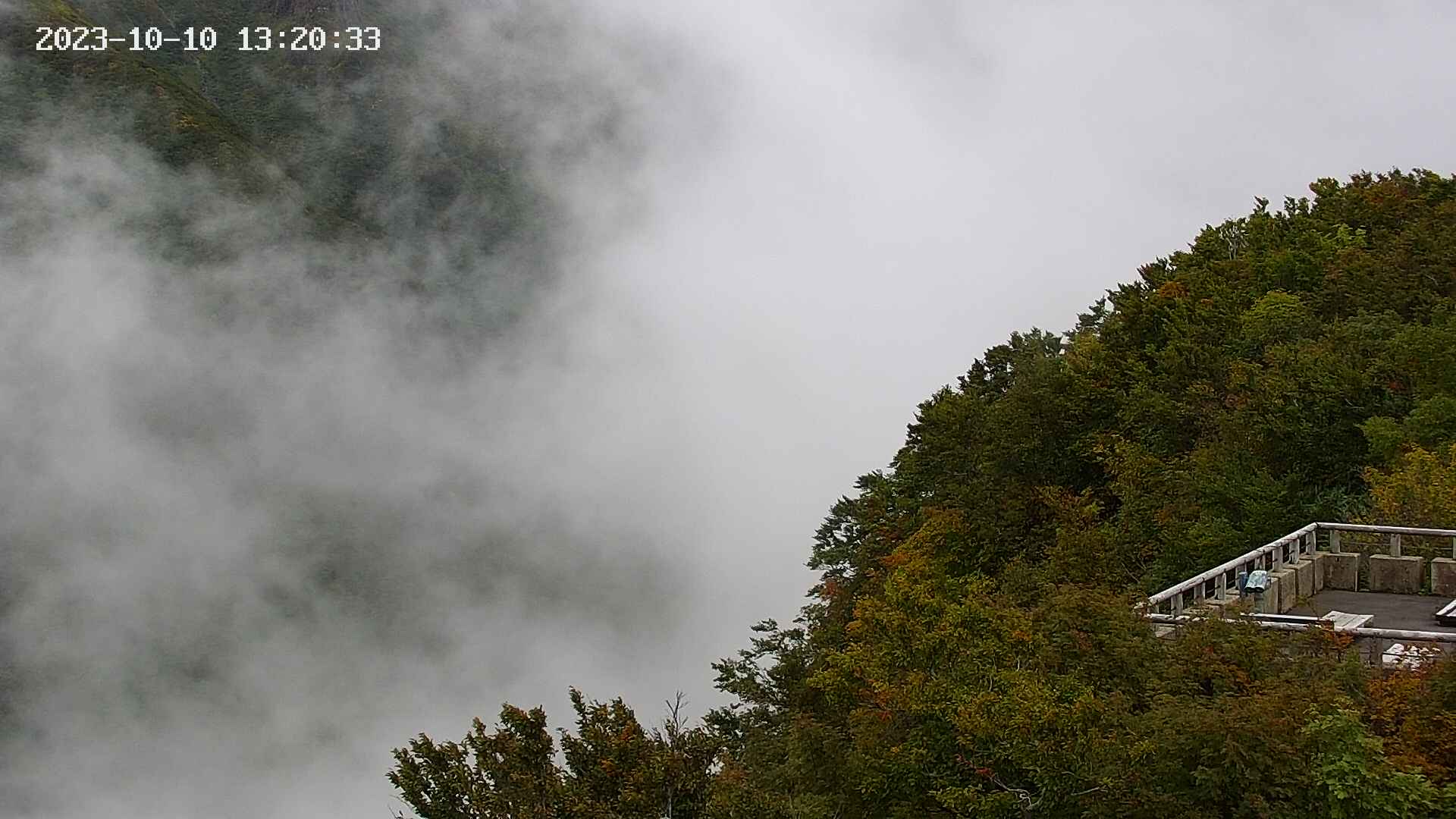 naso20231010132034.jpg
