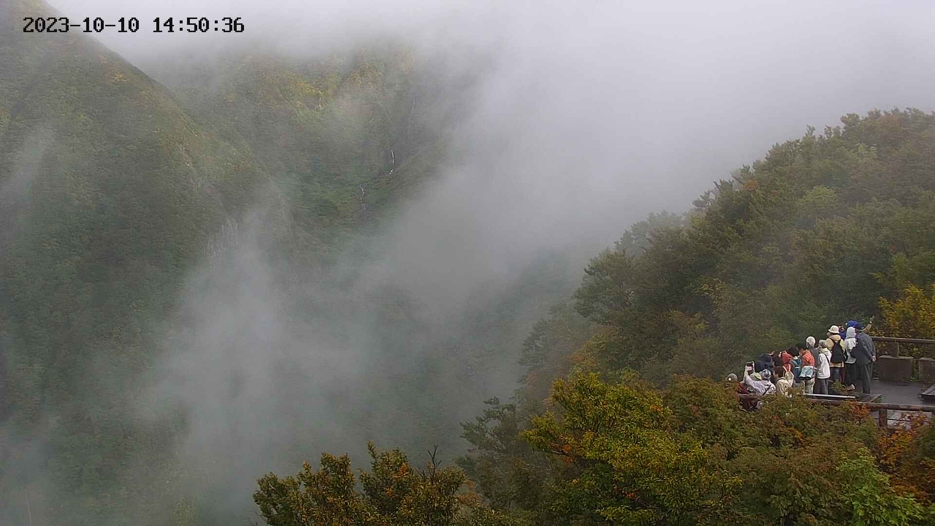 naso20231010145037.jpg