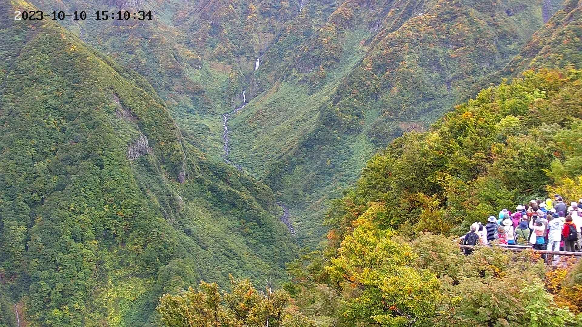 naso20231010151036.jpg