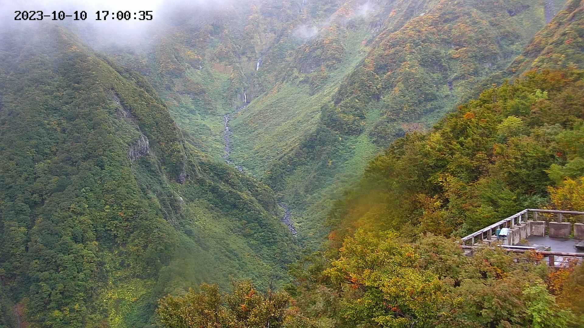 naso20231010170037.jpg