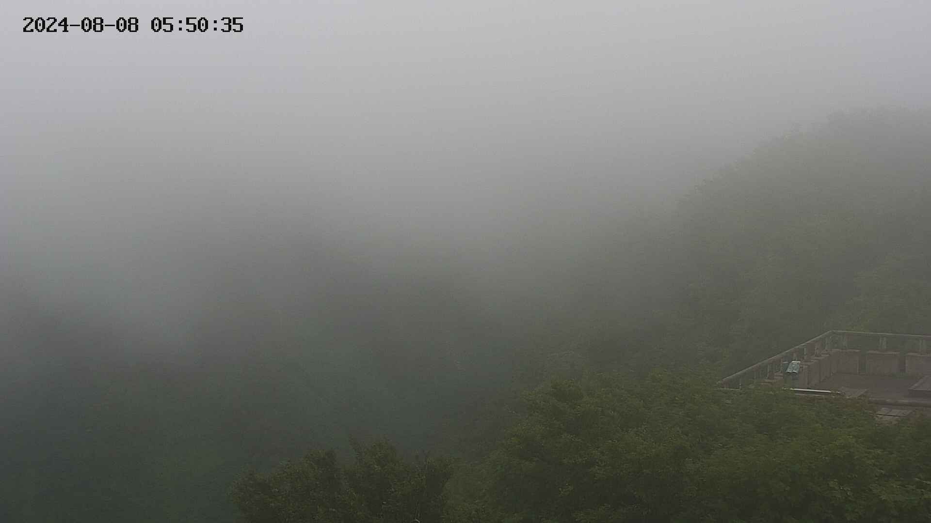 naso20240808055037.jpg