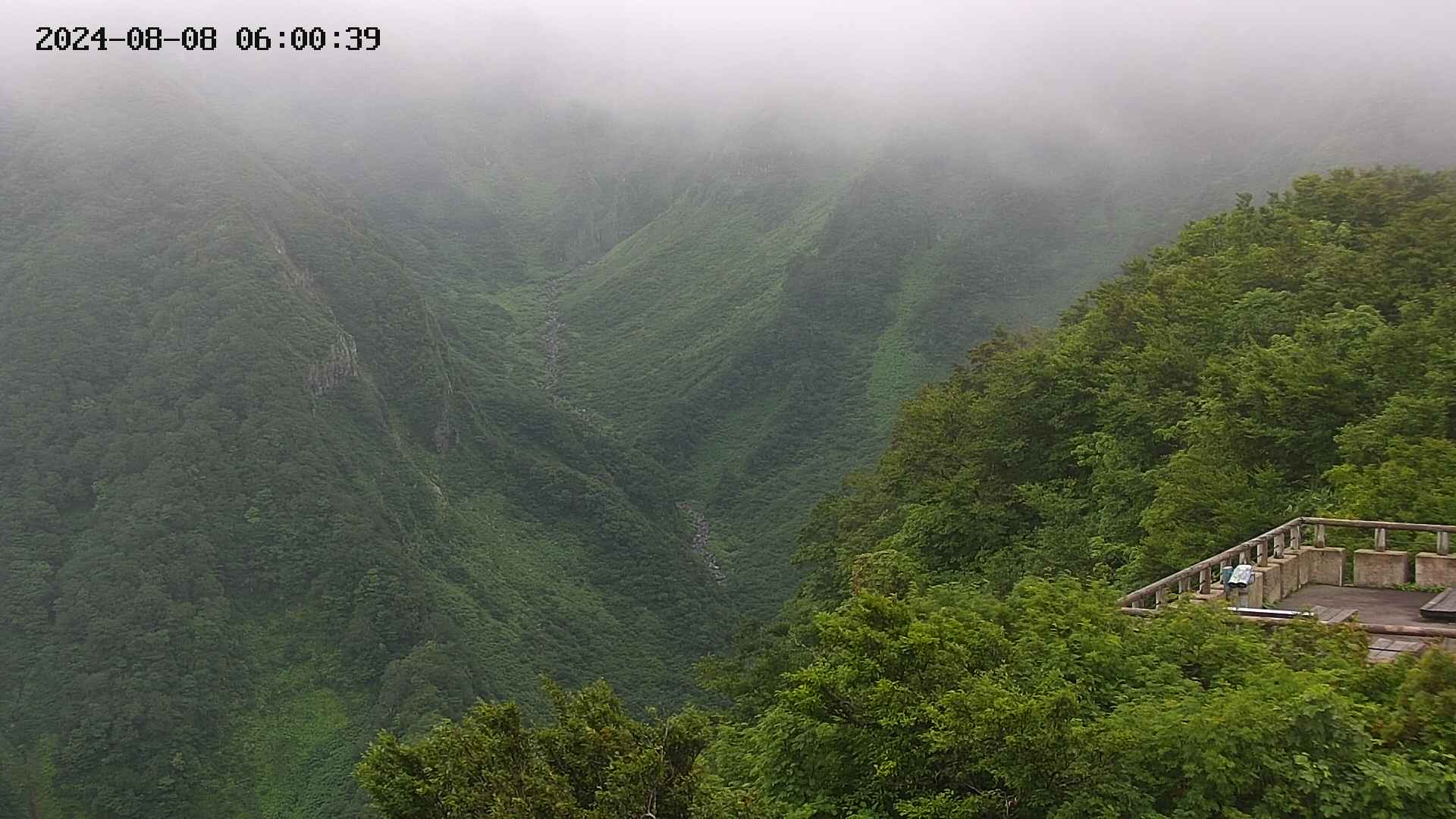 naso20240808060040.jpg