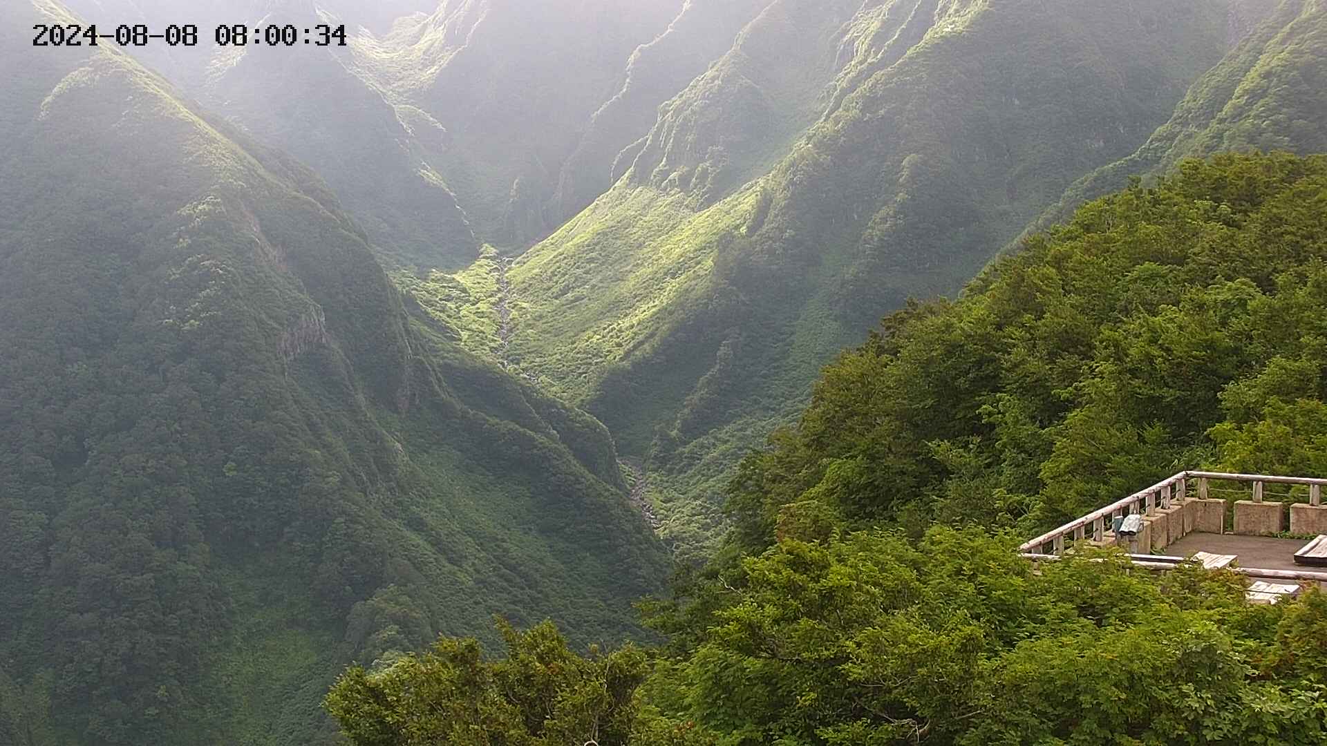 naso20240808080036.jpg