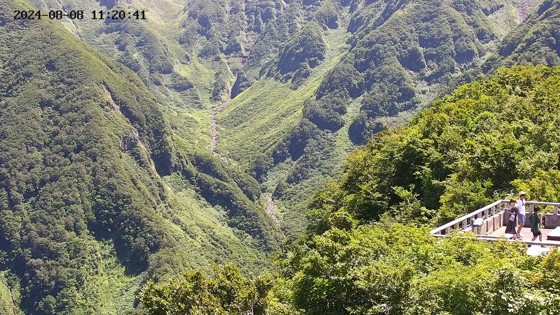 naso20240808112043.jpg