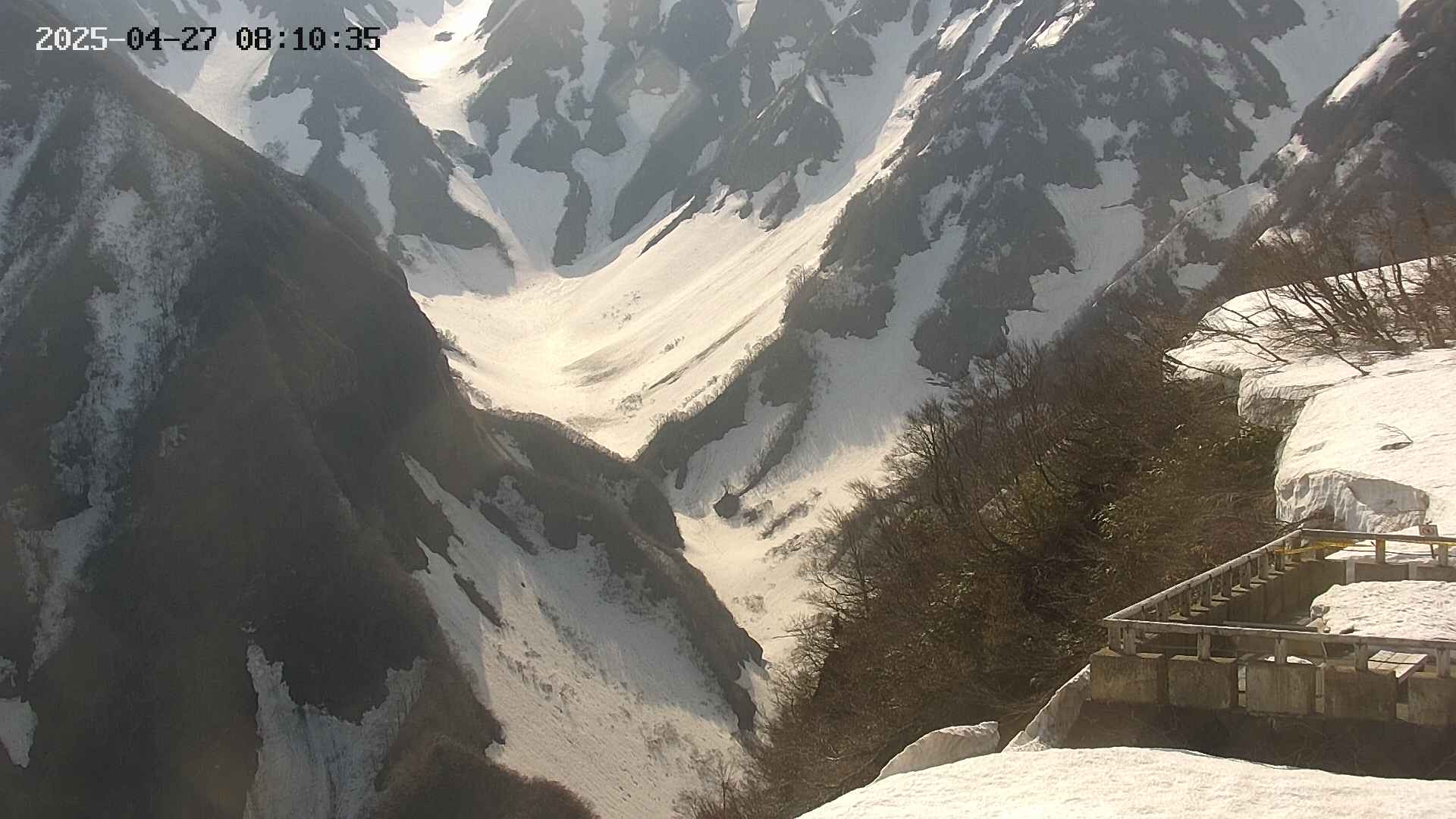 naso20250427081037.jpg