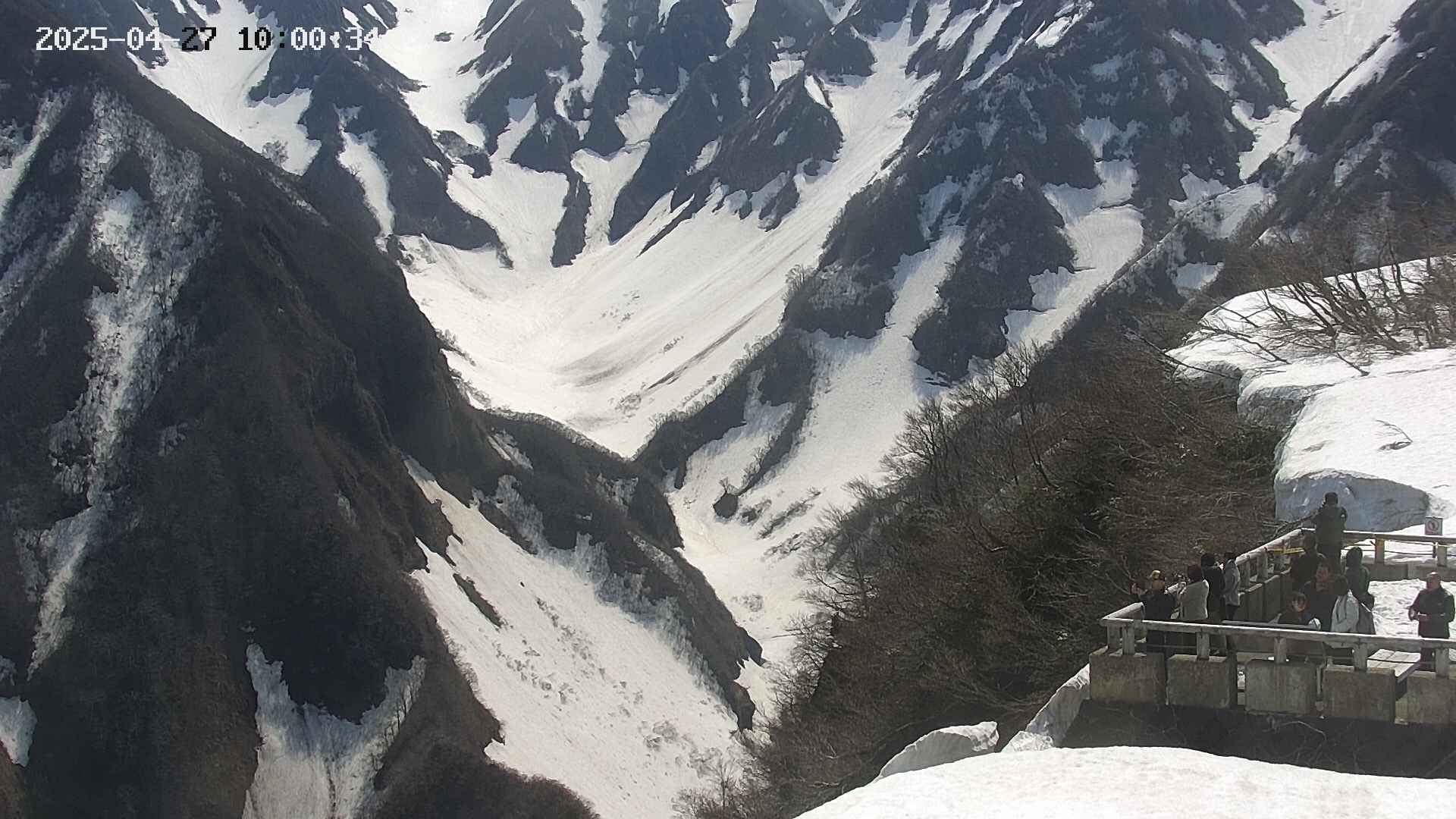naso20250427100036.jpg