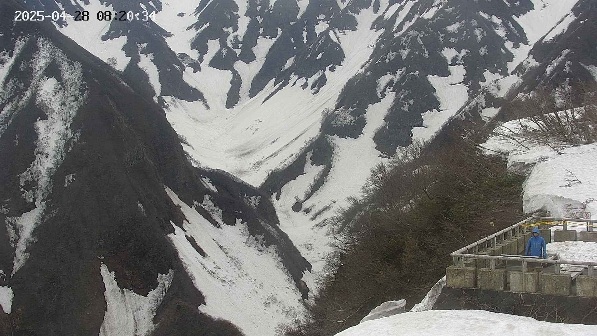 naso20250428082036.jpg