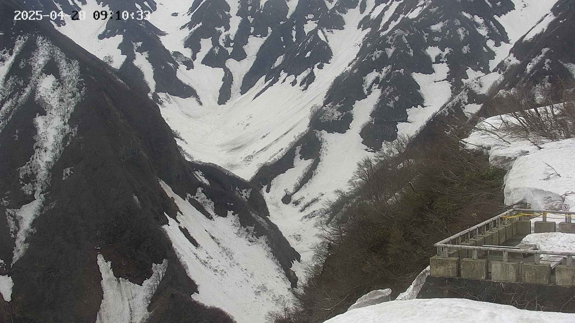 naso20250428091035.jpg